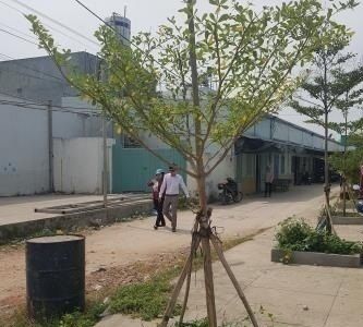 Bán Đất Rẻ Đẹp Hẻm Lớn Có Sồ Hồng Riêng  Tại Q. Bình Tân