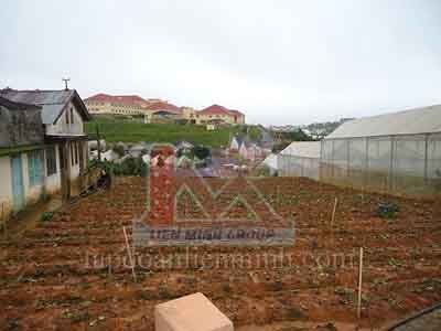 Mua Nhanh Bán Gấp Đất Rộng Nở Hậu P7 Đà Lạt – Bất Động Sản Liên Minh