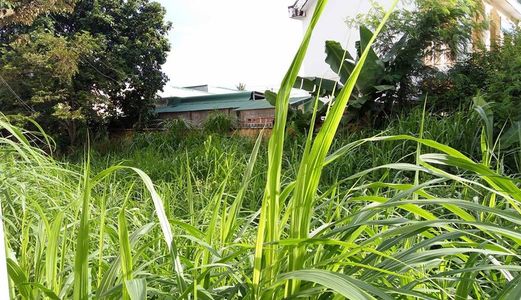 Cần Bán Gấp Lô Đất Thổ Cư Mặt Tiền A6 Phạm Ngũ Lão