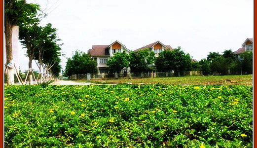 Đất Nền Thổ Cư 08 Đường 23, Khu Dân Cư Invesco Cát Lái, Quận 2