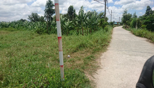 Cần Bán Gấp Đất  Bình Chánh 1285m2, 1.7tr/M2, Đường 3 Chả, Hung Long, Bình Chánh