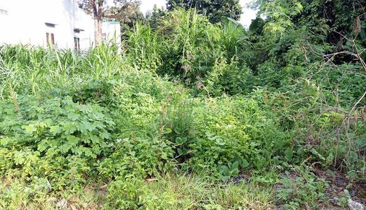 Bán Đất Thổ Cư 9x20 Giá 860 Tr