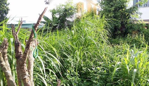 Bán Đất Thổ Cư 9x20 Giá 860 Tr