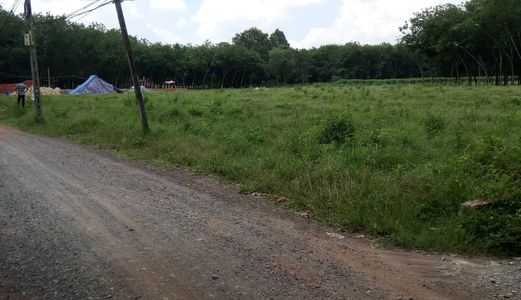 Đất Cạnh Trường Tiểu Học An Lợi - Hòa Lợi B.Cát Dt 135 Tc 60