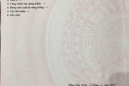 Đất Mặt Tiền QL 51, Thuộc Xã Long Đức Huyện Long Thành.