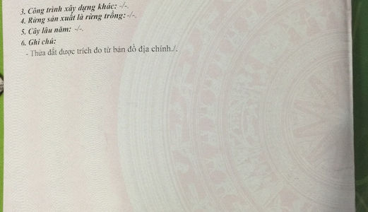 Bán Đất Mặt Tiền Cây Thông Ngoài, Giá 3,5 Triệu/m2, Shr, Bao Sang Tên