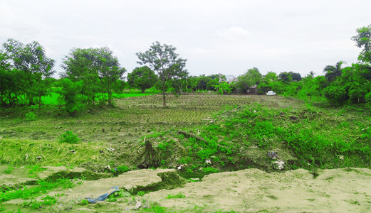 Bán 1200m2 Đất Đường Song Hành Quốc Lộ 50 Bình Chánh.2.5 Tr/M2. 0903078370