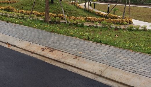 Đất Nền Dự Án Đường Huỳnh Tấn Phát,nhà Bè, 81M2 Giá 1.6 Tỷ, Sổ Hồng Riêng,xây Tự Do. 091-585-11-25