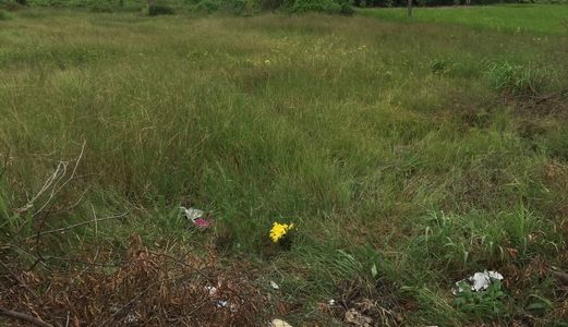 Cần Sang Gấp 1000 M2 Đường Liên Ấp 4-5 Đất Xã Đa Phước, Bình Chánh.