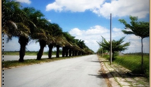 Đất Nền Dự Án Đường Võ Chí Công Phương Cát Lái Quận 2