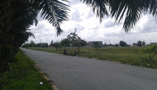 Bán 2 Nền Đất Liền Kề 130m2/Nền, Mặt Tiền Đường 42m, Kdc Tân Đô .