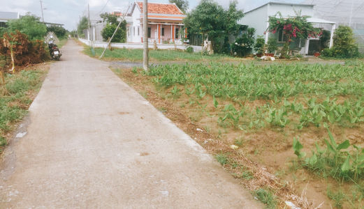 Đất Đẹp Giá Rẻ Bất Ngờ Với 2 Mặt Tiền Đường Xã Hưng Long Huyện Bình Chánh