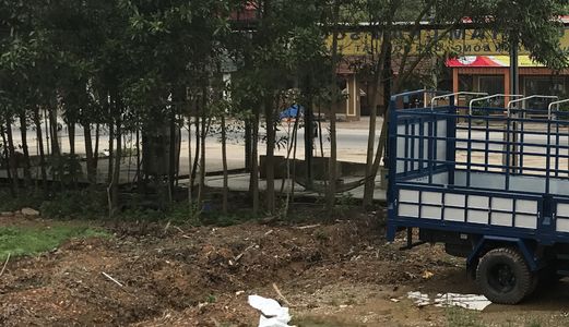 Cần Sang Nhượng Hoặc Cho Thuê Đất Dự Án 50năm