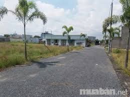 Cơ Hội Duy Nhất Mở Bán 5 Lô Đất Suất Nội Bộ Siêu Ưu Đãi Tại Bình Chánh Có Shr, Xdtd, Cam Kết Thu Mu