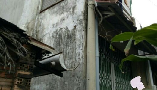 Bán Nhà 29.4M2 Đường 6 Bình Trưng Đông Q2