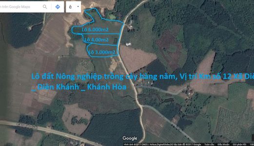 Đất Rẫy, Đất Rừng, Đất Nông Nghiệp Giá Rẽ Cần Bán.