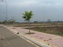 Bán Đất Gấp Gấp !!! Cần Tiền Chữa Bệnh 