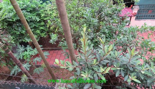 Cho Thuê Ngôi Nhà Có Vườn Rộng, 04 Phòng Ngủ ở Âu Cơ