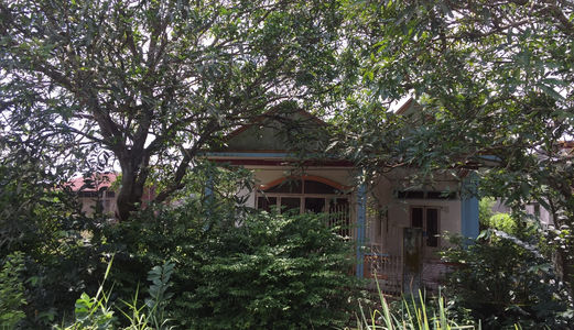 Cần Bán Nhà Gấp Chính Chủ 580m2 Ở Bình Chánh