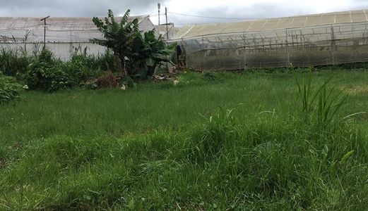 Đất Biệt Thự Giá Rẻ Trịnh Hoài Đức P11 Đà Lạt – Bđs Smartland