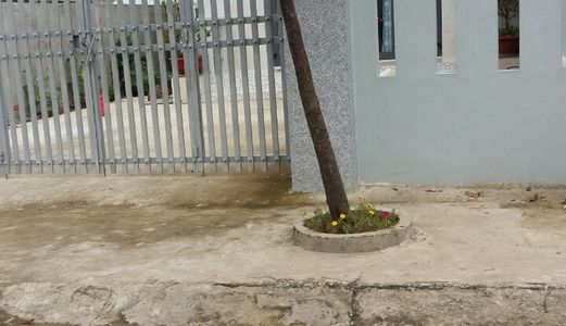 Bán Đất Shr, Giá Rẻ ,100m2 Tại Đường Đoàn Nguyên Tuấn- Huyện Bình Chánh - Hồ Chí Minh