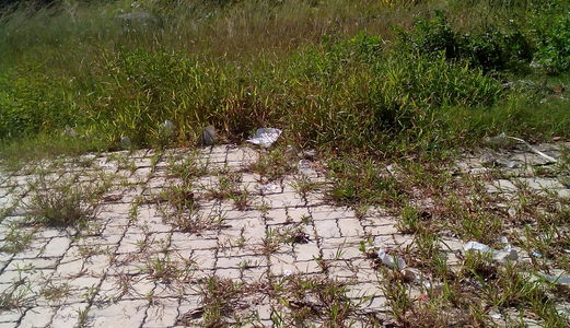 Cần Bán B1.100 Đường Thông, Nam Cầu Nguyễn Tri Phương, Hòa Xuân, Cẩm Lệ, Đà Nẵng