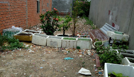 Lô Đất Nền Đường Thạnh Lộc 31, Q12 Shr 