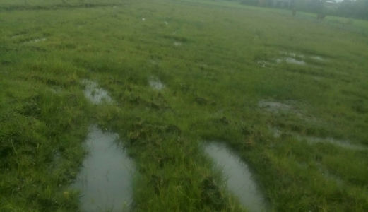 Đất Tỉnh Lộ 10 Diện Tích Đa Dạng Chỉ 4,5 Triệu /M2 Trung Tâm Đức Hòa