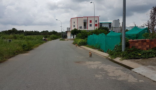 Cần Bán Gấp 100M2 , Kdc Hiện Hữu, Shr , Xây Dựng Tự Do, Liền Kề Kđt Cảng Biển Shr ,Xây Dựng Tự Do.