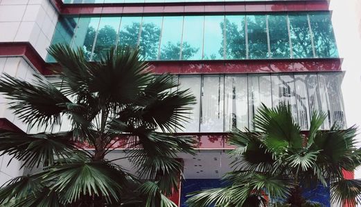 Cho Thuê Phòng Học, Training Quận 1