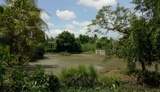 Chú 4 Cần Tiền Bán Gấp Đất Bình Chánh,575 M2 Mặt Tiền Đường LA 4.5, Chính Chủ.