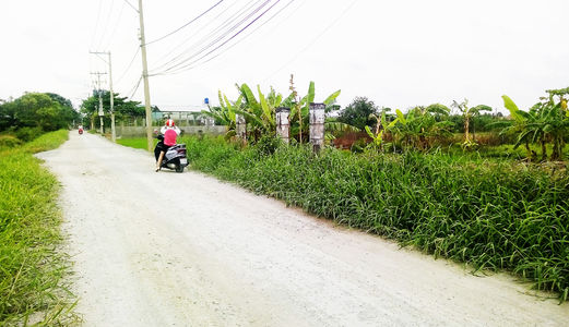 Cần Bán 1200M2 Đất Cây Lâu Năm, Chỉ 850Tr, Nhơn Đức, Nhà Bè. Lh: 0938 319 969