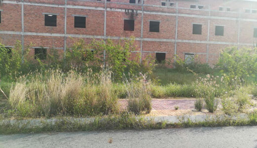 Bán Đất Ngang Trên 10m Đường Bùi Hữu Nghĩa Gần Chợ Bình Thủy