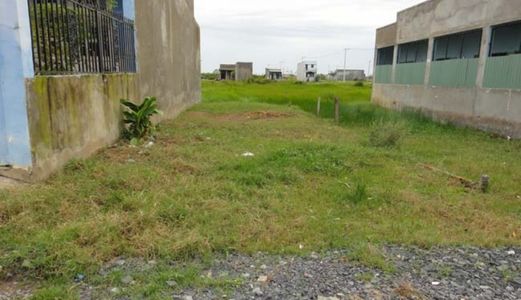 Tôi Quê Sống Cần Bán Lại Gấp Đất Ở Thổ Cư Giá Rẻ Mặt Tiền Đại Lộ Bình Dương Liên Hệ 0961 266 872
