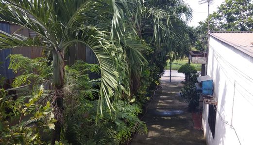 Bán Nhà Đất Mặt Tiền Đường Nguyễn Thị Ngâu , Hóc Môn 796m2 10 Tỷ