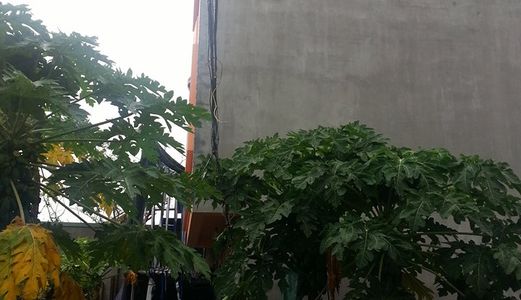 Nhà Đất 3 Tầng Xây Mới Cuối Năm 2013 (12tr/M2 Sử Dụng), Gần Ubnd Xã, Trường Cấp 1, Cấp 2, Gần Trạm
