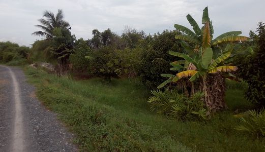 Đất Thổ Vườn Mặt Tiền Sông Tại Xã Bình Mỹ Giáp Q12: 1,5tr/1m2. Shr, Đường 6m, Vườn Cây Sẵn.