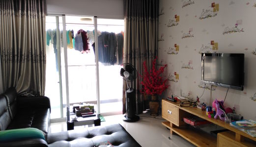 Bán Căn Hộ Chung Cư Vũng Tàu Plaza, P8, Tp Vũng Tàu