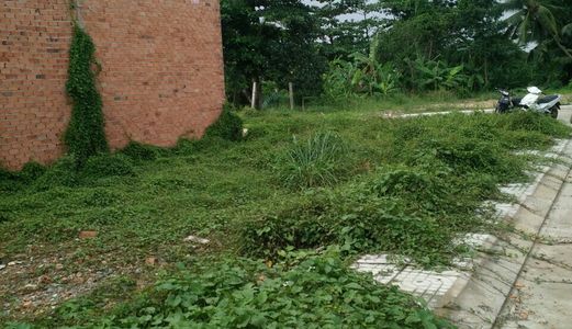 5 Lô Đất Nền Gần Thống Nhất Quận 12, Dt: 60m2, Giá: 1,95 Tỷ