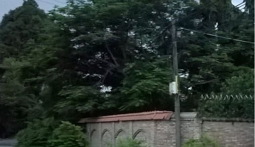 Cần Bán Gấp Biệt Thự + Đất + Các Căn Nhà Nhỏ Nội Khu, Shr, 5000M2, 21 Tỷ, (Lh: 0126.633.7347)