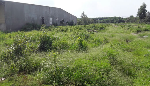 Bán Gấp 1 Mẫu Đất Đối Diện UBND Xã An Viễn, Giá 1,2 Triệu/M2