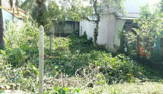 Đất Mặt Tiền Tỉnh Lộ 10, Cách Cầu Bà Lát 1km, Có Shr