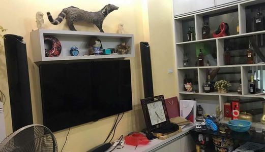 Bán Nhà Quan Nhân 45 M2, Ô Tô Đỗ, Hiện Đại, Giá Siêu Lộc, 4.1 Tỷ