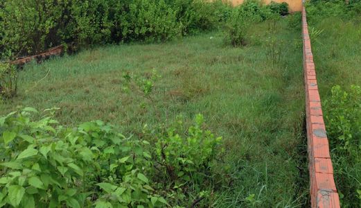 Đất Phú Đông 5x20,2, (102m2) Shr, Hẻm Ô Tô 5M