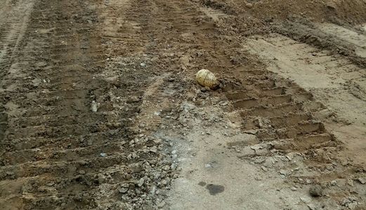 Đất Thổ Cư 100%, 88m2 Giá 340 Triệu, Mặt Tiền Đường Lớn, Kdc Đông