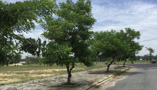 Bán Lô Đất 180m2-900 Triệu- Ven Sông Cổ Cò-view Cocobay-nam Đn