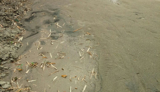 Tôi Cần Bán Gấp 1123m2 Đất Đường Hương Lộ 11 Xã Qui Đức,Bình Chánh