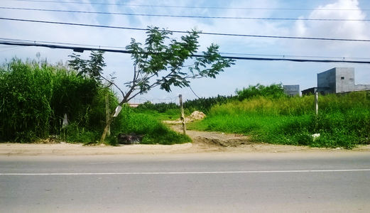 Cần Bán 3300m2 Thổ Cư, Long Thới, Nhà Bè. Chỉ 13 Tỷ. LH: 0938 319 969