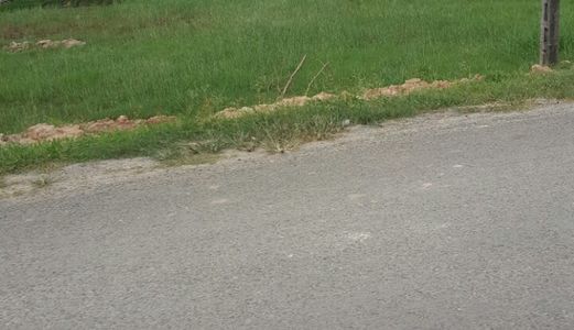 Đất nền KDC Villa, 230tr/nền, SHR, góp 12 tháng 0% LS, CK6%, tặng 5 chỉ vàng