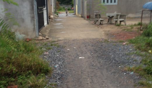 Đất Phà Cát Lái- Phú Hữu, Shr,đường 3M,lý Thái Tổ Vào 40M.